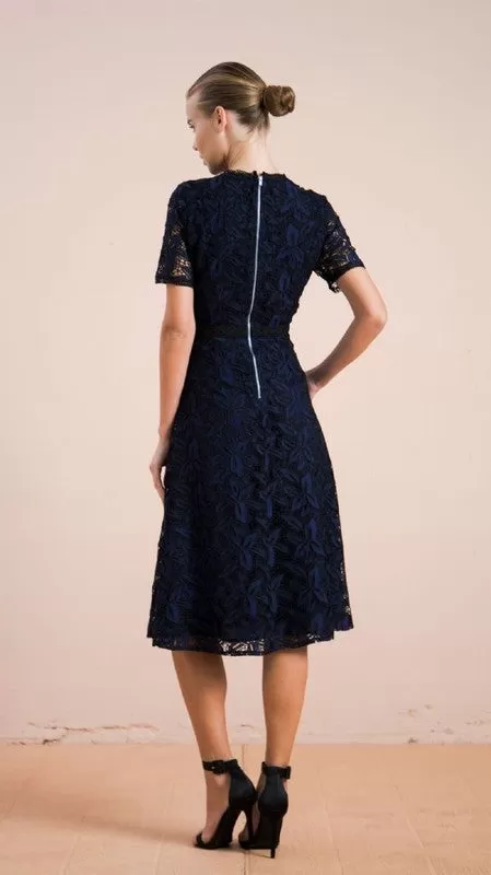 Belinda Lace A Line Dress