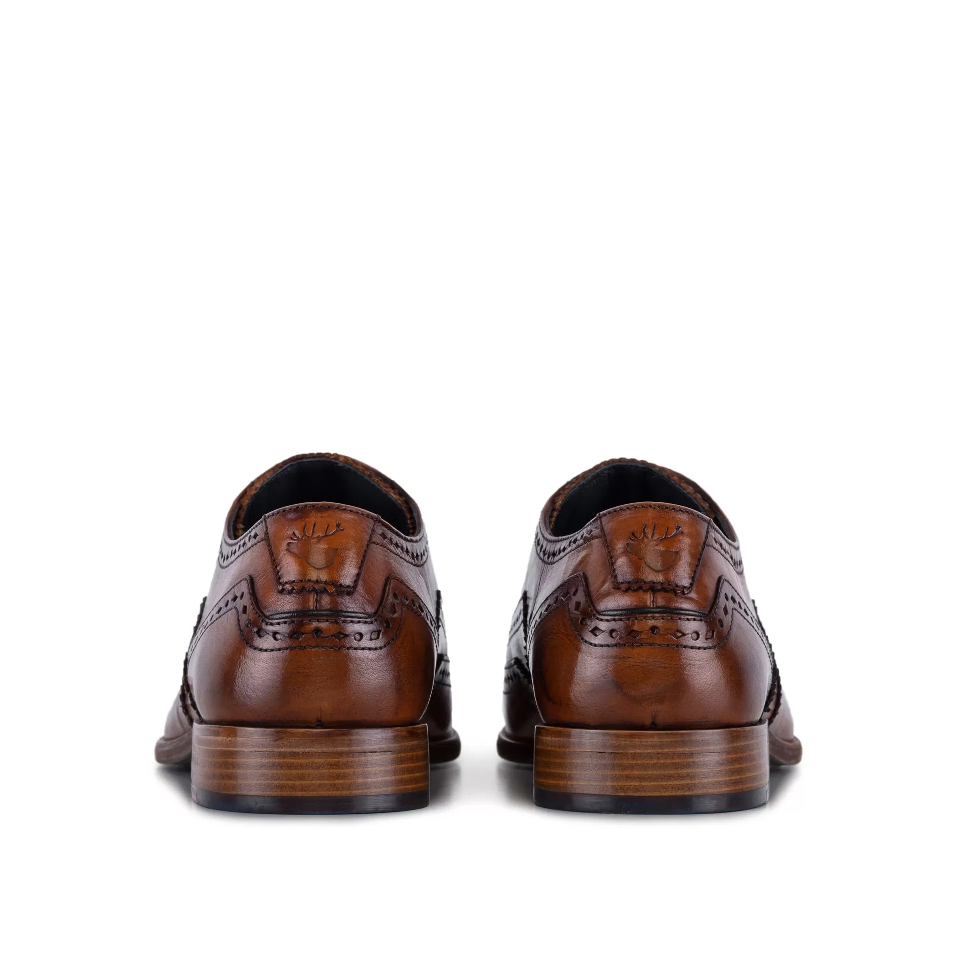 DANIEL TAN DERBY BROGUE