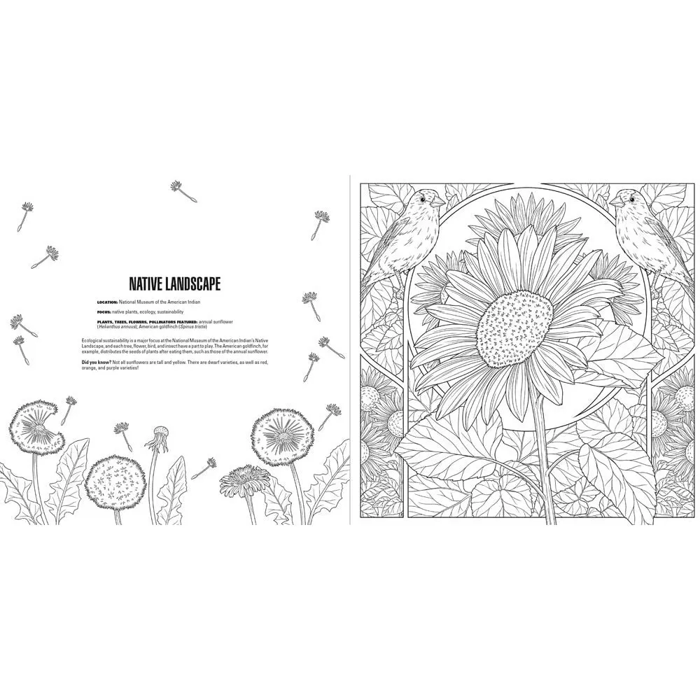 Gardens: A Smithsonian Coloring Book